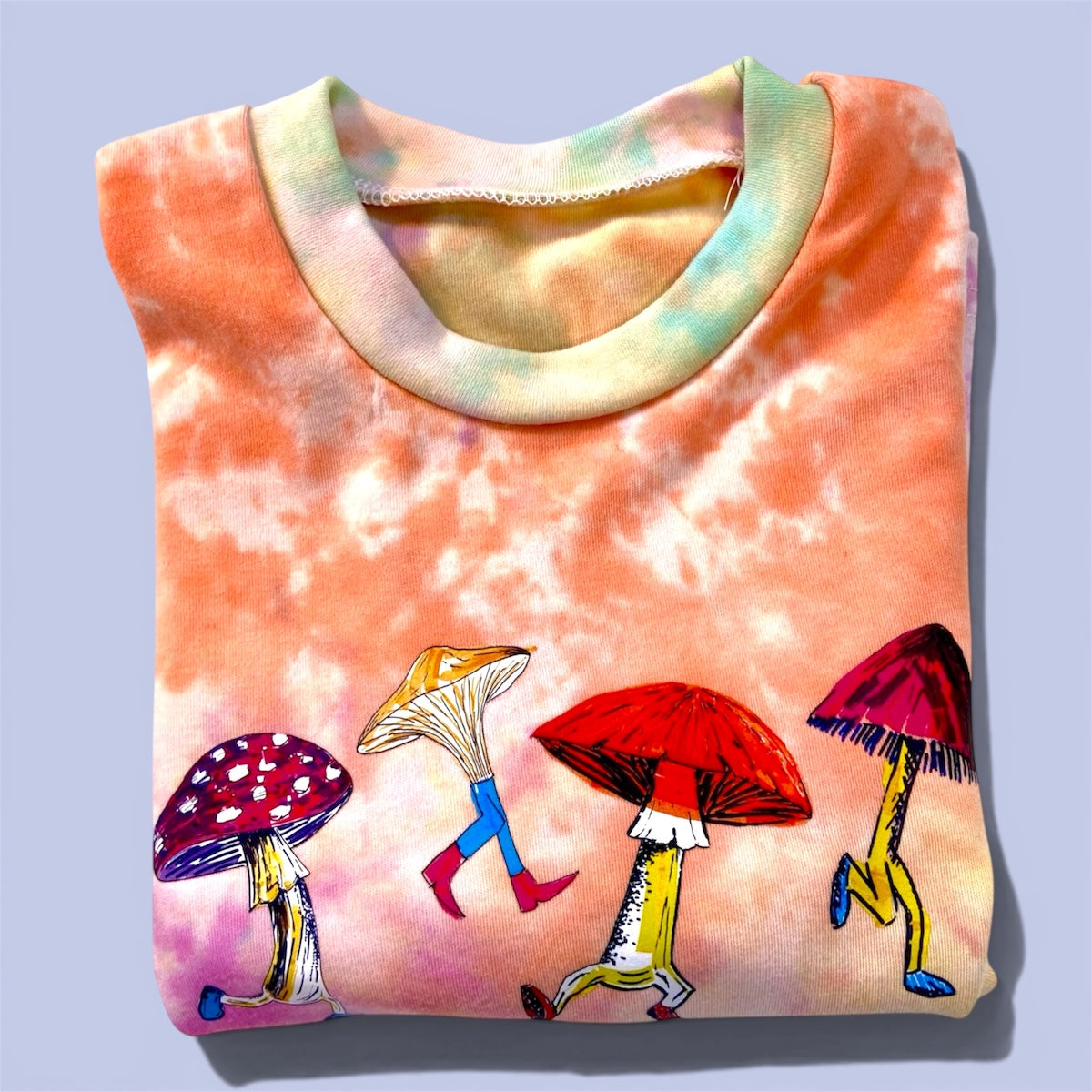 Jessy Mushroom Party Long Sleeved Tee